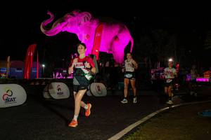 BIB: 
                            <button type="button" onclick="openModal(26534910)" class="btn btn-primary btn-sm float-right btn-popup" data-toggle="modal" data-target=".modal-high-quality">
                        <i class="fas fa-shopping-cart"></i> Add to Cart
                    </button>
                                            <button type="button" onclick="isThisMe(26534910, true)" class="btn btn-success btn-sm float-right btn-popup btn-isme hidden" data-toggle="tooltip" data-placement="bottom" title="นี่คือรูปของคุณใช่ไหม คลิกที่นี่เพื่อเอาเข้าอัลบั้ม">
                        <i class="fas fa-plus"></i> Add to album
                    </button>
                    <button type="button" onclick="isThisMe(26534910, false)" class="btn btn-warning btn-sm float-right btn-popup btn-isnotme hidden">
                        <i class="fas fa-ban"></i> Remove from album
                    </button>